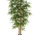 Дерево Бамбук Новый гиганский от TREEZ, TZ.PL.TR.94, 1-я фотография мини